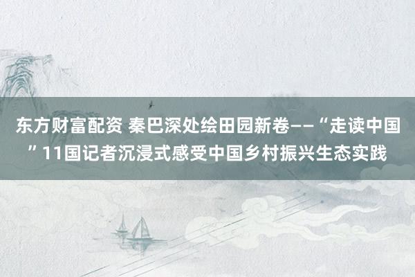 东方财富配资 秦巴深处绘田园新卷——“走读中国”11国记者沉浸式感受中国乡村振兴生态实践