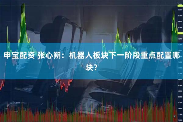 申宝配资 张心朔：机器人板块下一阶段重点配置哪块？