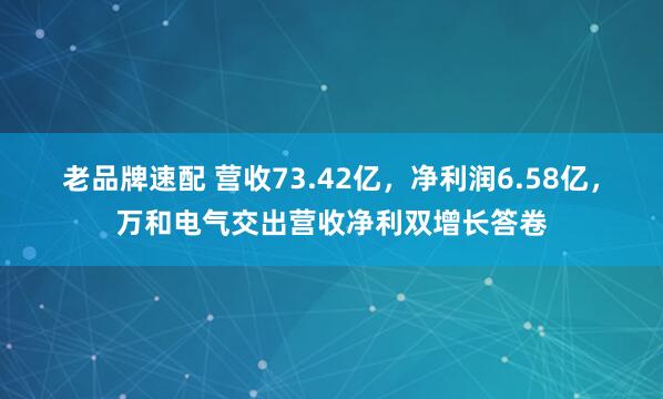 老品牌速配 营收73.42亿，净利润6.58亿，万和电气交出营收净利双增长答卷