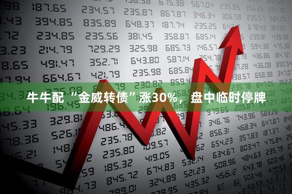 牛牛配 “金威转债”涨30%，盘中临时停牌
